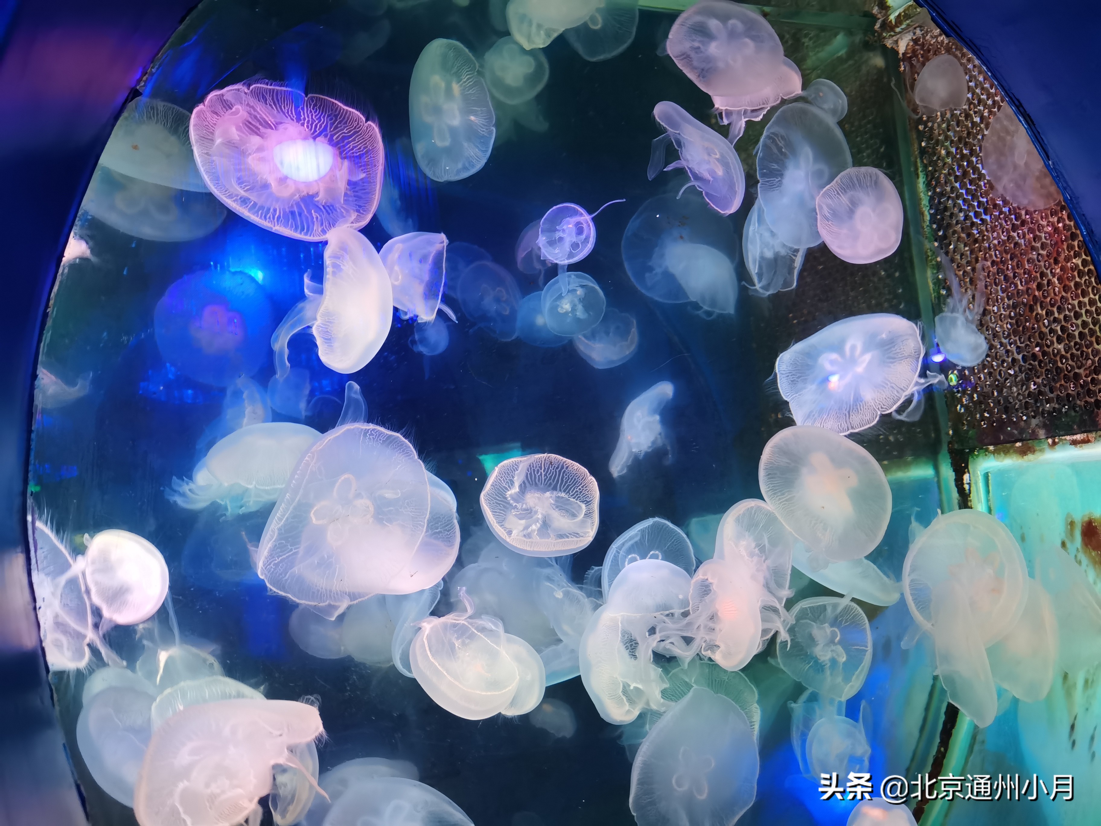 北京海底世界游览时间表,北京海底世界值得玩