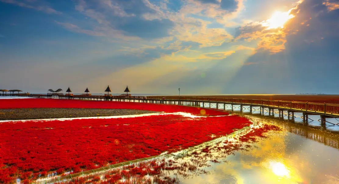 盘锦地区旅游,盘锦旅游景点中最靓丽的名片