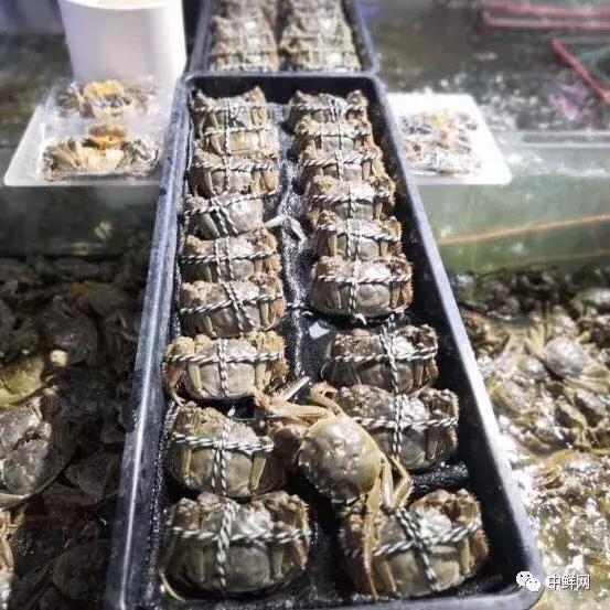 中秋营销水产篇，如何稳中求胜创佳绩？