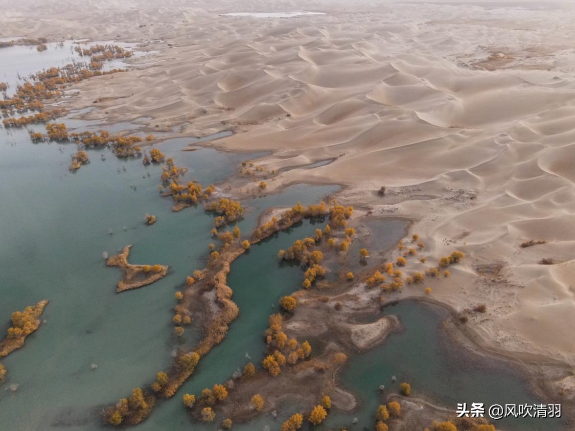 真实新疆人的生活视频,新疆人的生活好精致