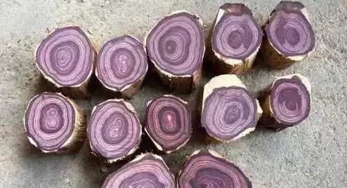 海南黄花梨油梨与糠梨纹路区分,黄花梨油梨和糠梨