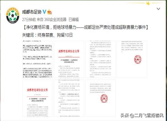 殴打足球裁判的下场,足球球迷殴打裁判