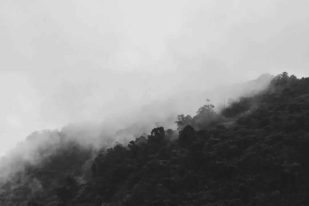 龙抬头国学,龙抬头纪念章