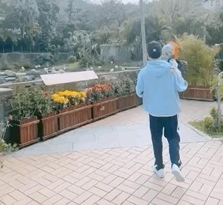 安以轩复工首晒照,安以轩复工照