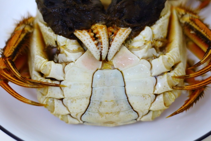 螃蟹什么季节好吃有肉,这个季节吃什么螃蟹能吃到新鲜的