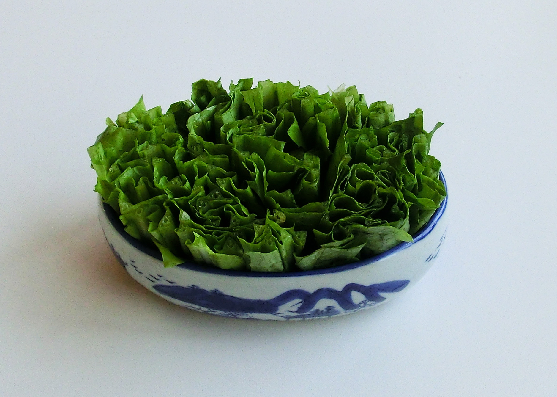 春季上火了吃什么菜降火最快,夏季上火吃的清淡的菜谱