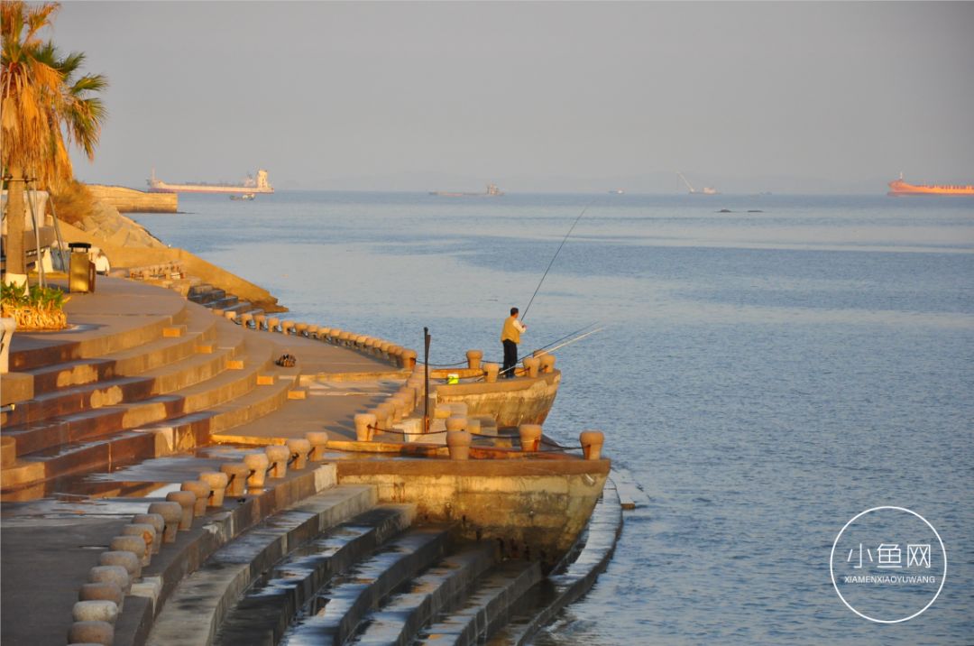 鬼城or未来可期？我们走进漳州港，发现“接盘侠”的各种悲喜交加