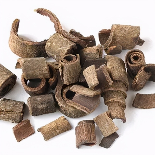 执业中药师常用单味药,中药药剂师必看的书