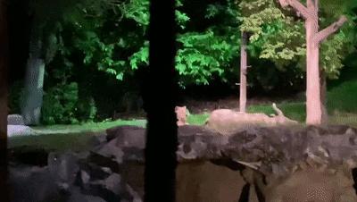 疫情期间去埃及旅游的亲历,疫情期间从深圳直飞洛杉矶体验