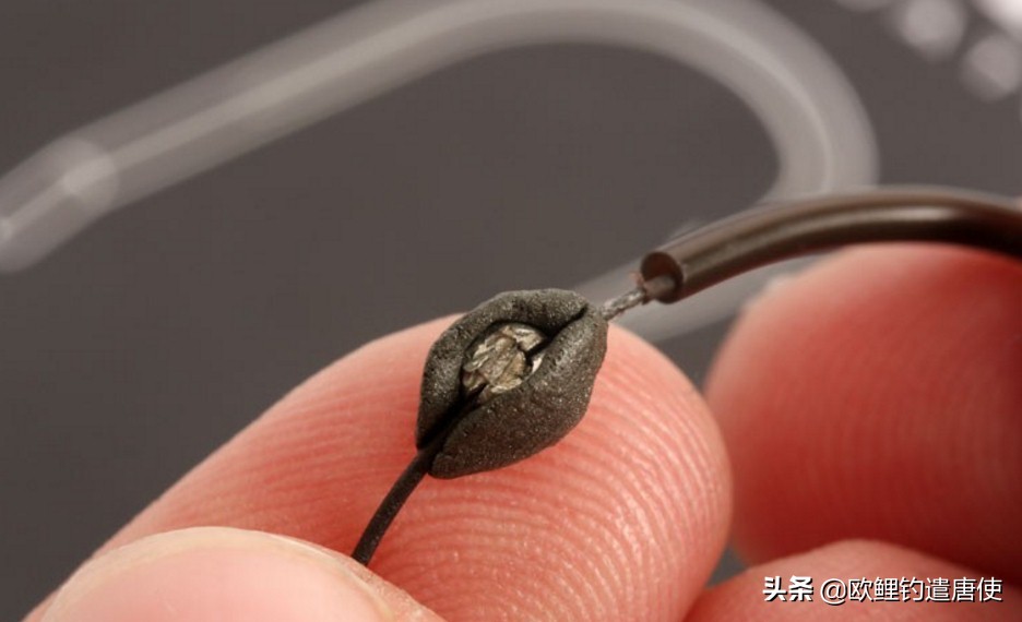 话说欧鲤钓诱饵篇,枯叶钓组和线辫钓组区别