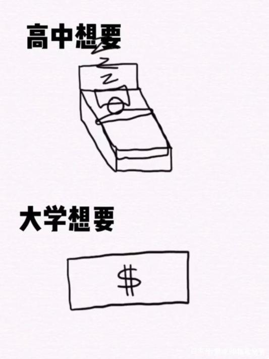 高中和大学哪个更累？4张图告诉你真实答案，个中心酸自行体会