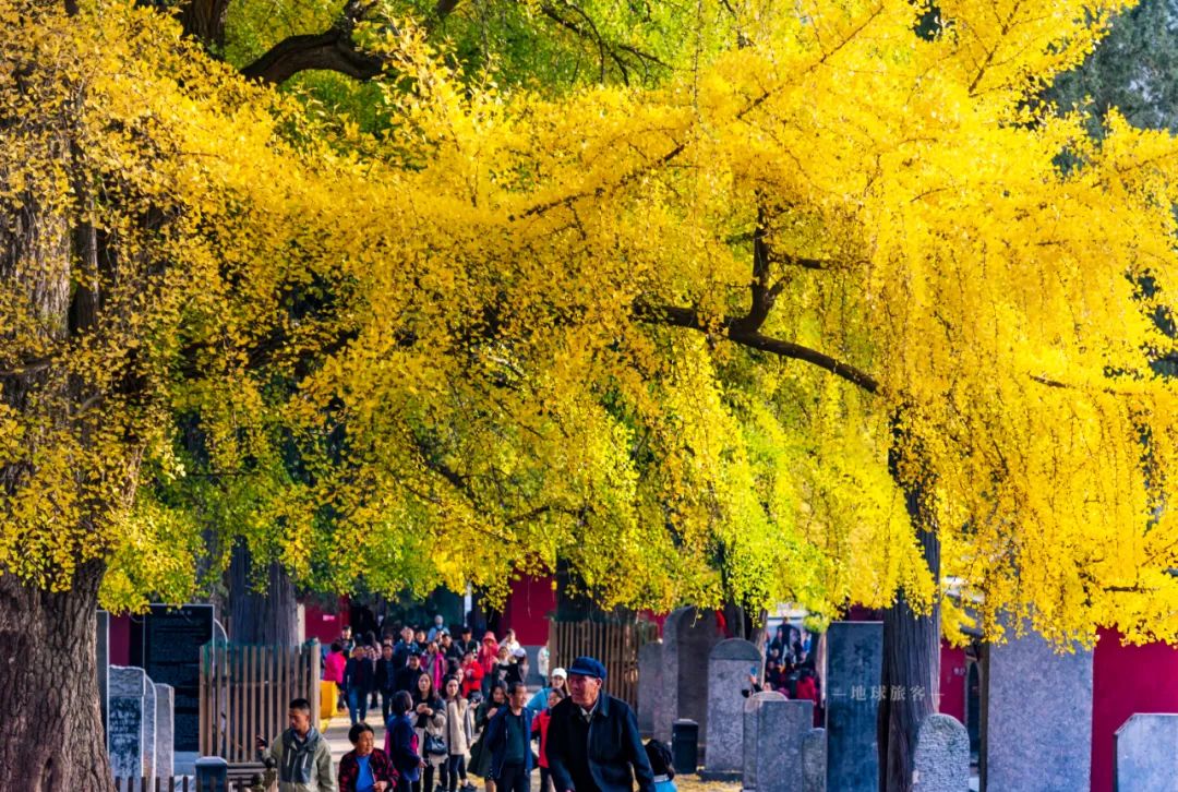 重新认识中国文化,嵩山最具代表的地方