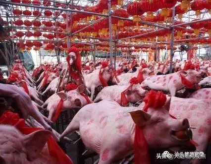 请收下我的名片,请收下我的名片英文