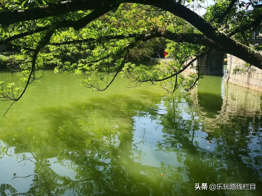 秋天的第一次旅程,秋天的第一场旅行30秒