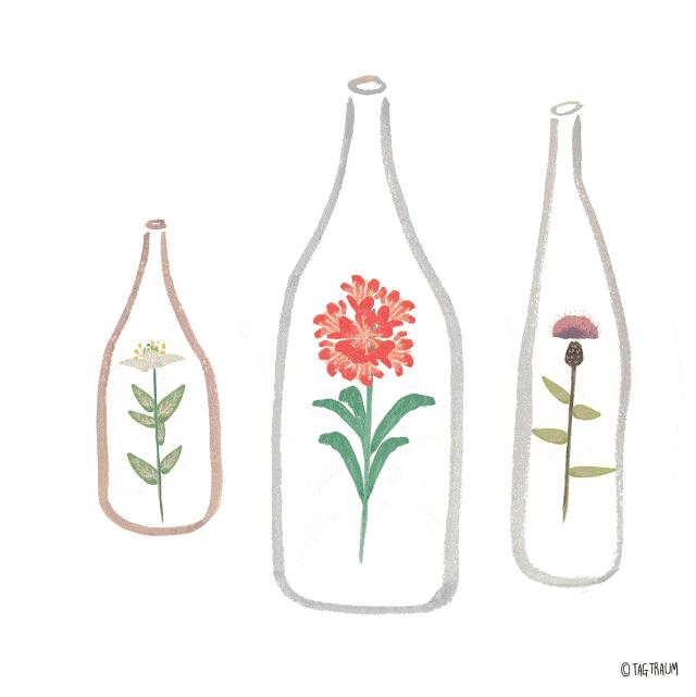 内江两日游,周末出去吃喝玩乐的地方内江