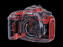 佳能7d2用什么镜头最好,佳能7d2摄影教程