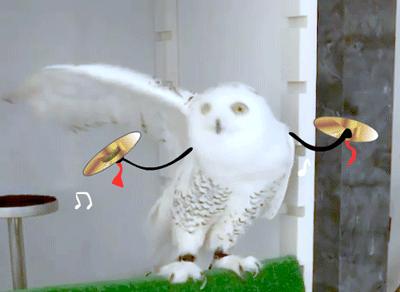 娱乐圈流行“穿假货”？Lisa、碧梨竟然都是“山寨粉”