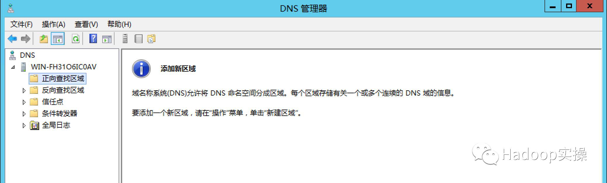 winserver2012dns服务查询,windows如何搭建虚拟dns服务器