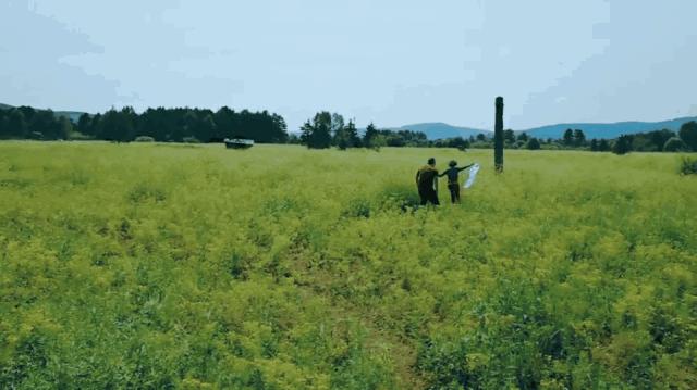 五一假期闺蜜去大兴安岭穷游,闺蜜自驾大草原