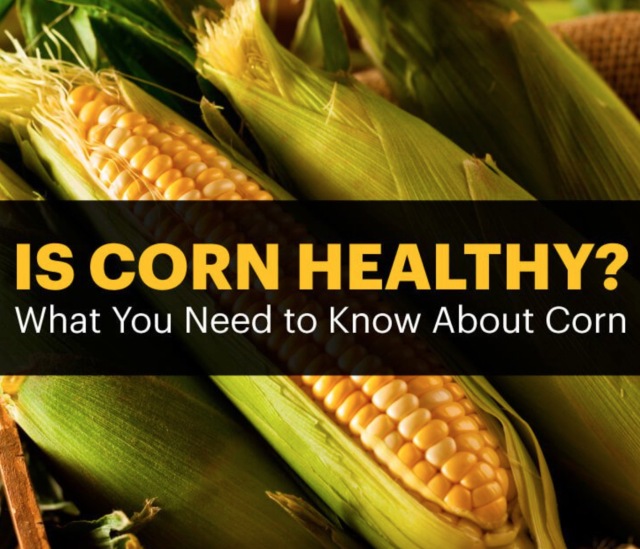 水果玉米和糯玉米是转基因食品吗,爆汁玉米是转基因吗