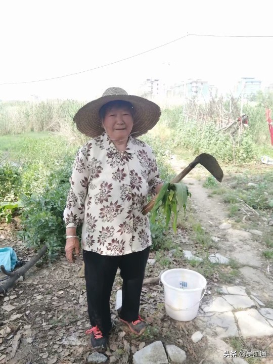 北厍人眼中的南厍村