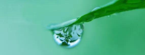 一直喝水还是渴是什么原因,一直喝水还是渴是为什么