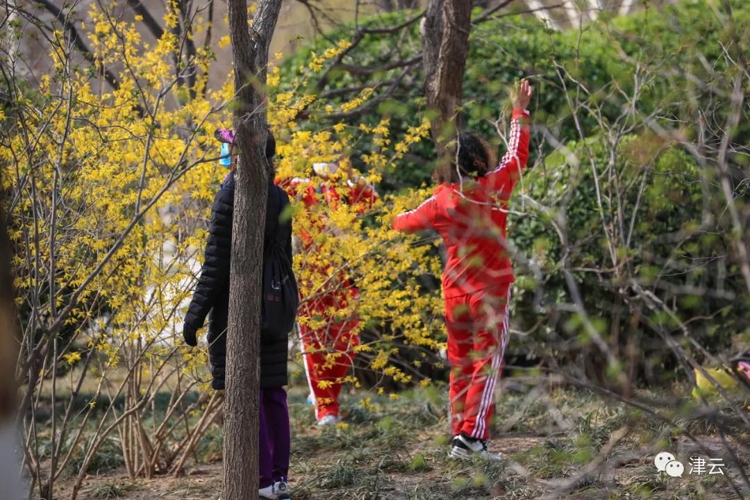 天津2022哪些公园恢复开放,天津水西公园现在恢复开放了吗