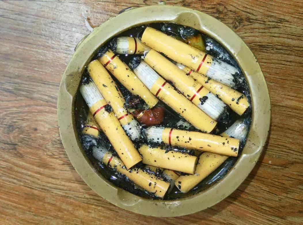 盆里有虫用什么药,盆里有小虫子怎么办