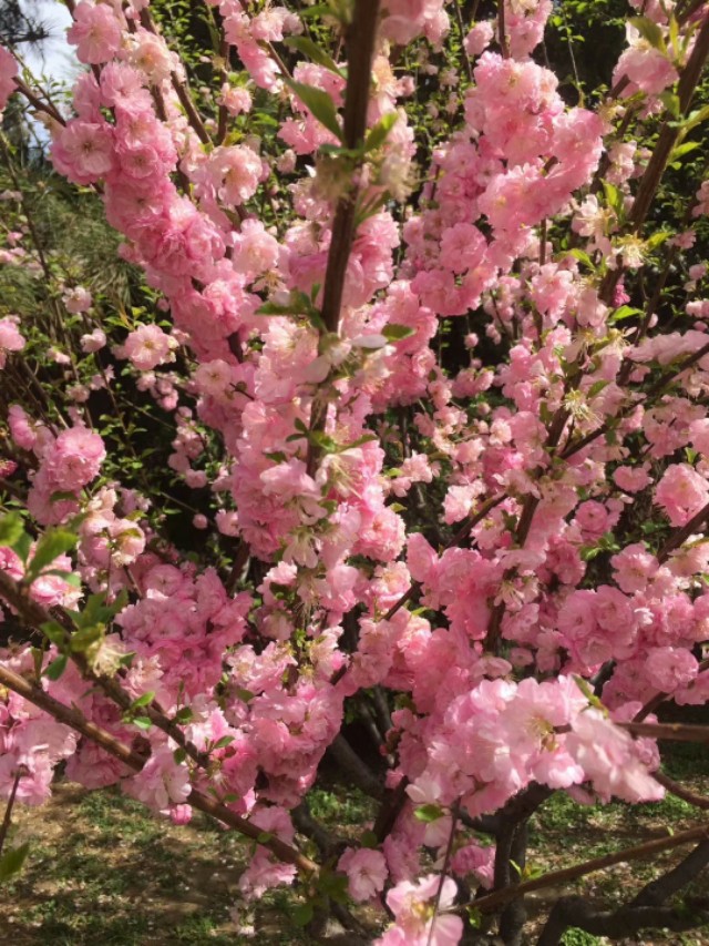 做摘抄使用哪些书比较好,做摘抄的好句子