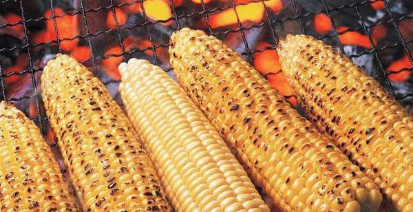 新奇特水果合集,新奇特创意水果