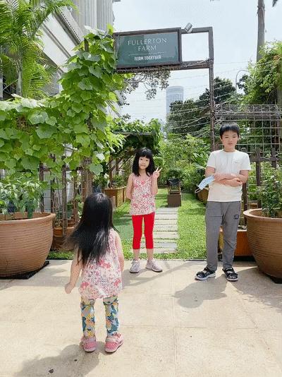 新加坡十大必住酒店,在新加坡住酒店多少钱