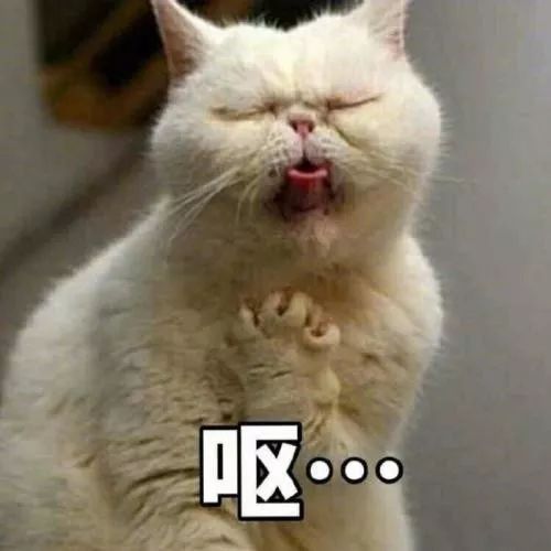 小孩呕吐怎么判断是什么原因,孩子呕吐的原因和处理方法