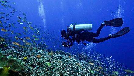 三亚凤凰岛热带风情度假,三亚凤凰岛体验
