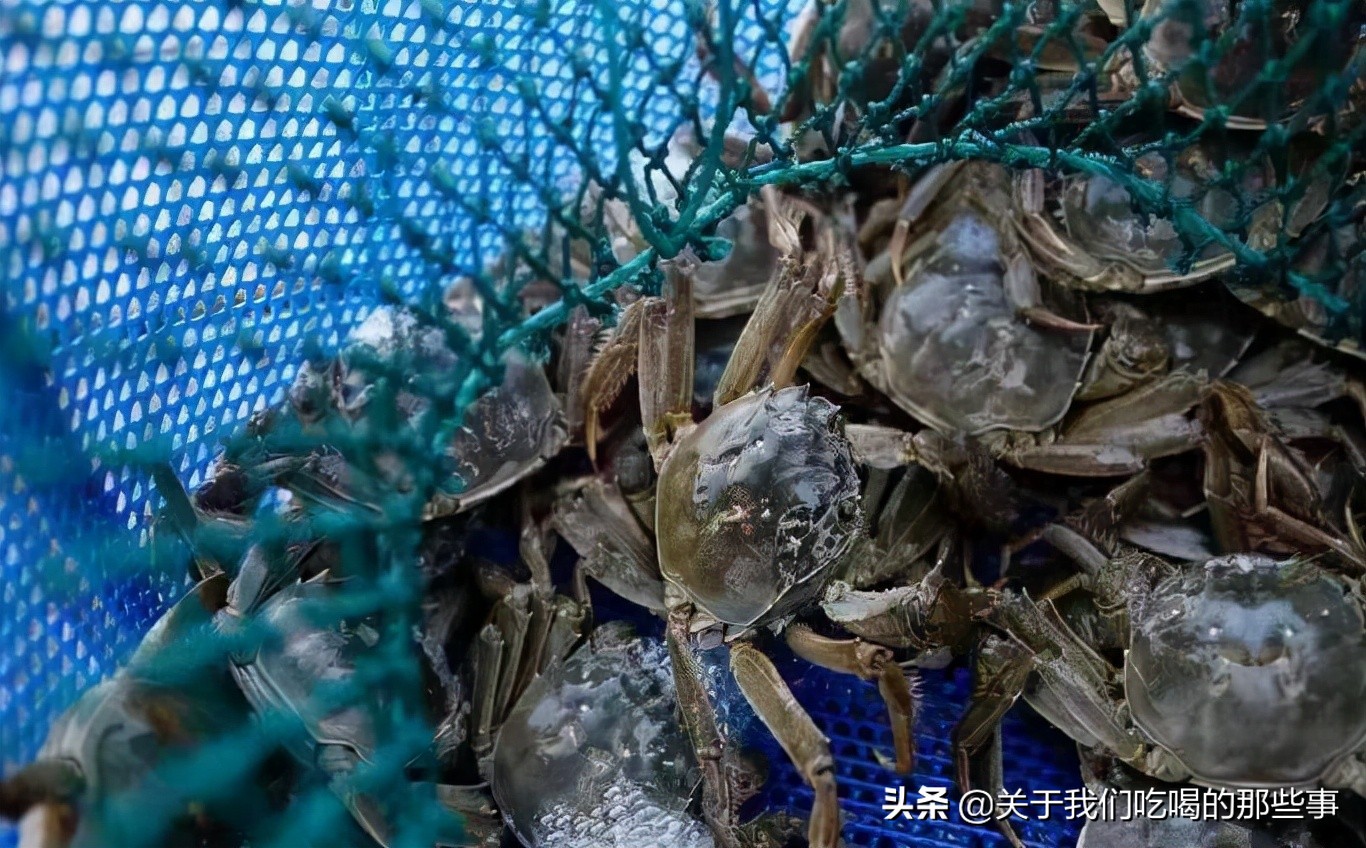 新鲜的螃蟹怎么保存到第二天吃,吃不完的螃蟹应怎样保存比较新鲜