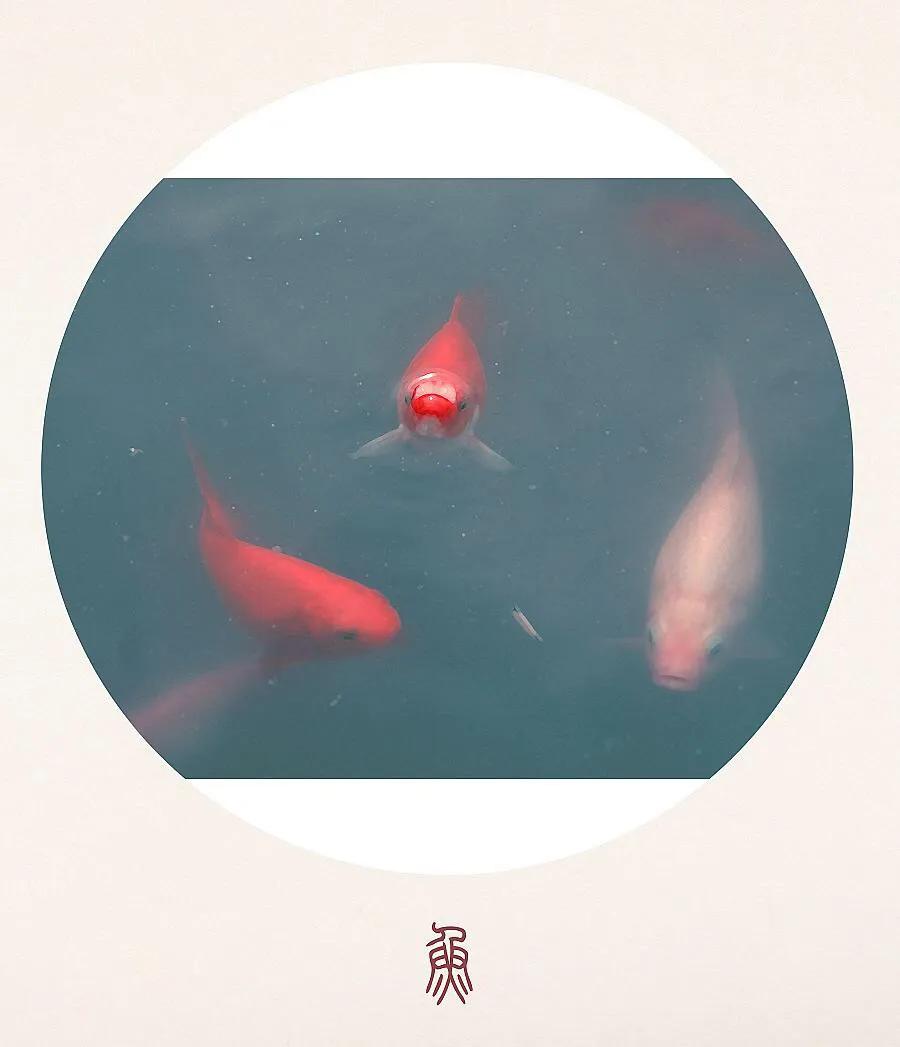 沉鱼落雁闭月羞花,沉鱼落雁闭月羞花什么意思