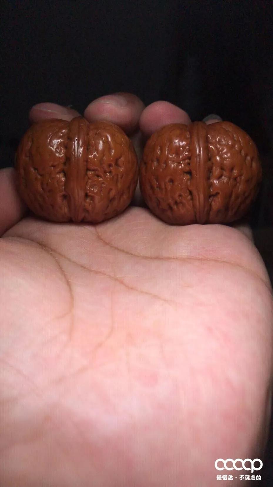 文玩界的万能油是什么油,文玩油和食用油有区别吗