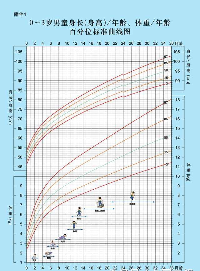 特配粉如何选购,特配粉哪个牌子好用
