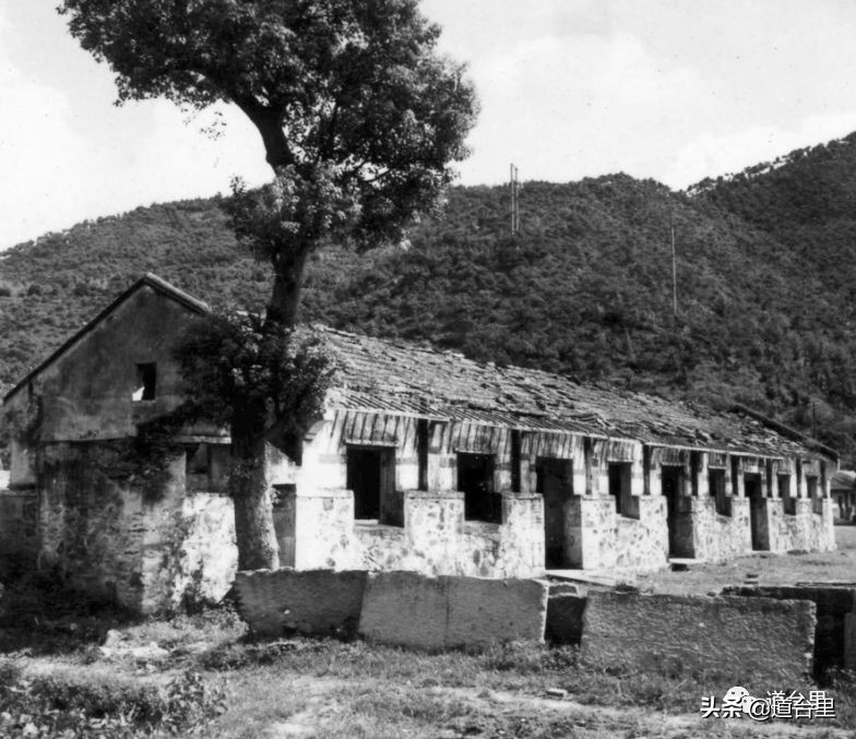 我的母校儿时记忆完整版,椒江二中历史照片