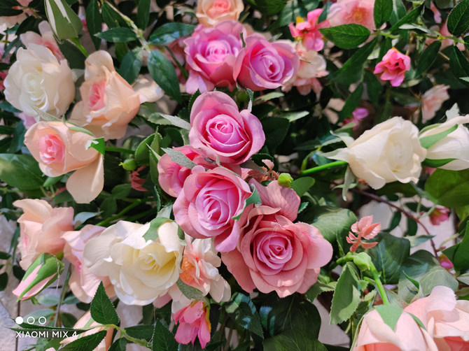 小米mix4和小米11pro区别,小米11ultra与小米mix4