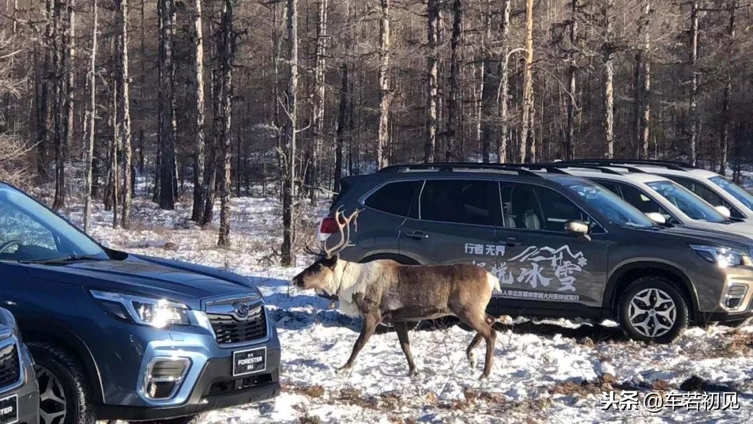 新款森林人2.5暴力驾驶会怎么样,森林人2.5旗舰版25w能上路吗