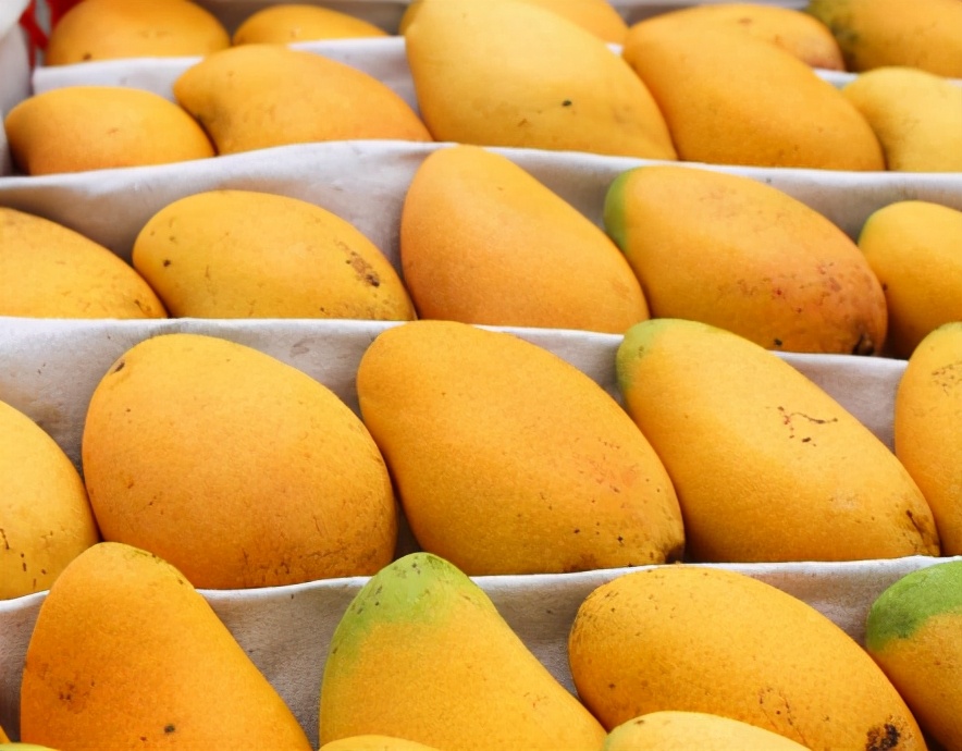 青芒台芒贵妃芒区别,青芒贵妃芒金煌芒哪个好吃