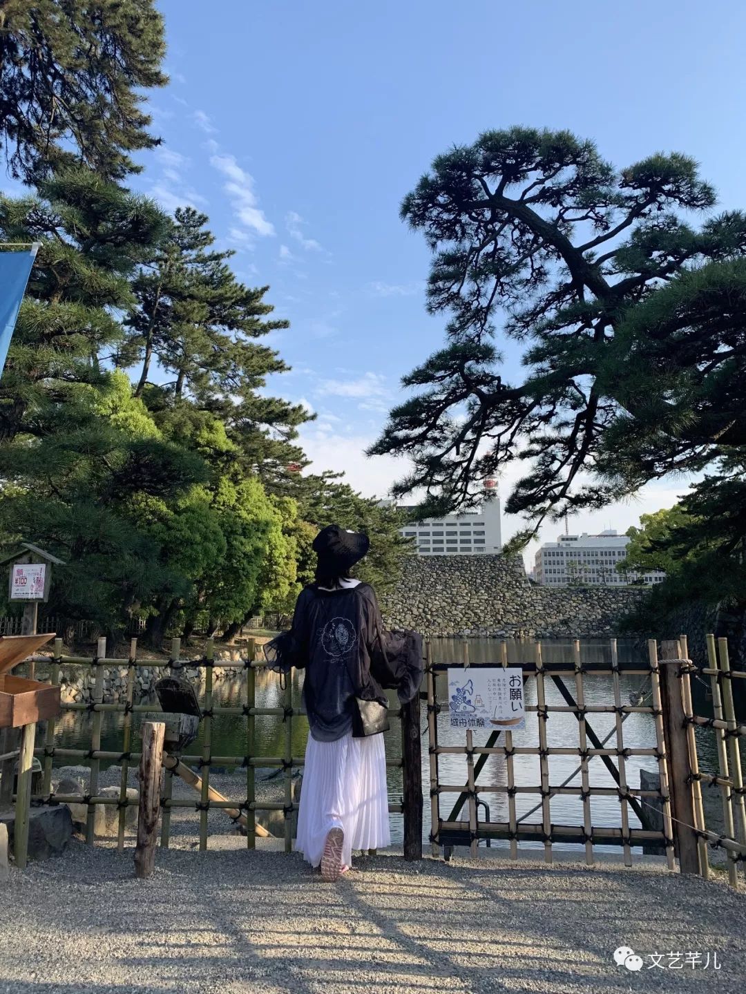 鏂囪壓鑺婂効鐢熸棩,鏂囪壓鑺婂効鐩存挱