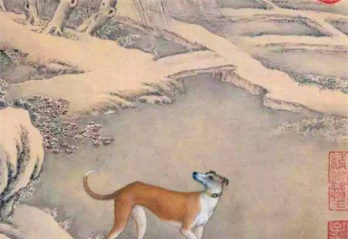 古人被狗咬了没有狂犬疫苗怎么办,古时候没有狂犬疫苗被咬了怎么办