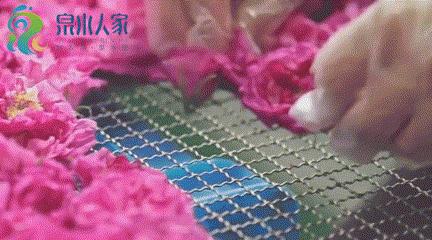 “老大哥”实力认证，25年0差评，细述济南天源玫瑰的从一而终