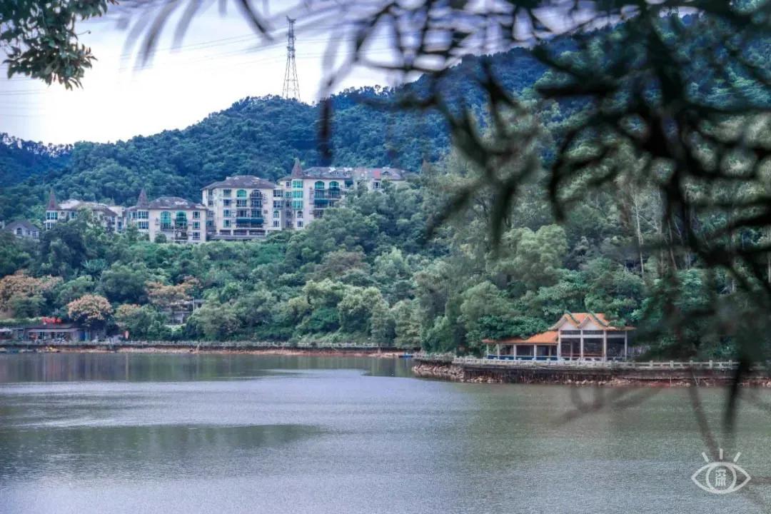 4号线值得逛的地方,9号线有什么地方可以玩