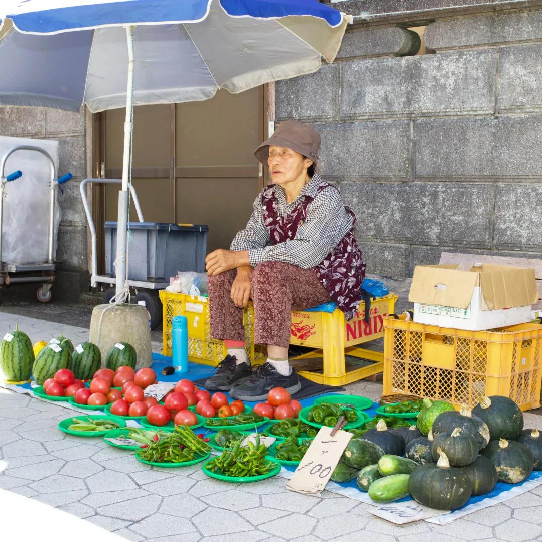 日本有过革命史吗,日本有过什么革命