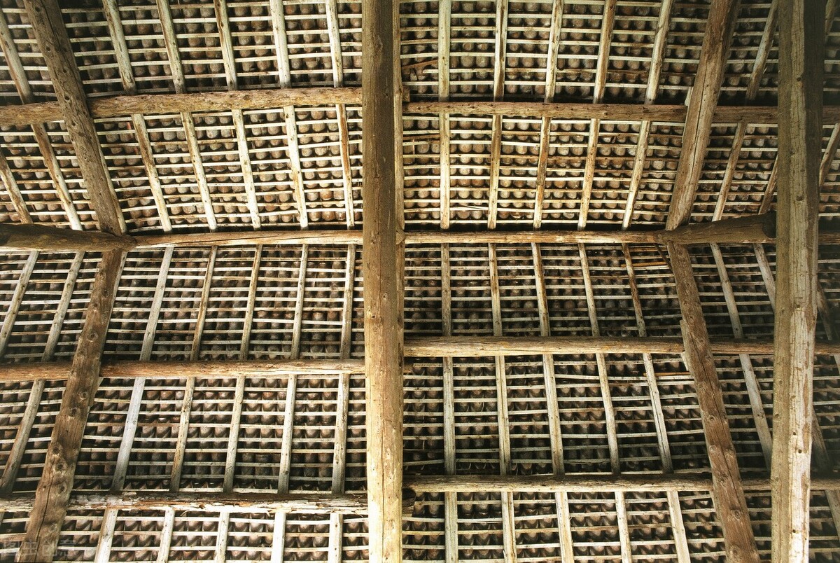 男子捡到一个手机等失主,小伙子捡到一大袋钱