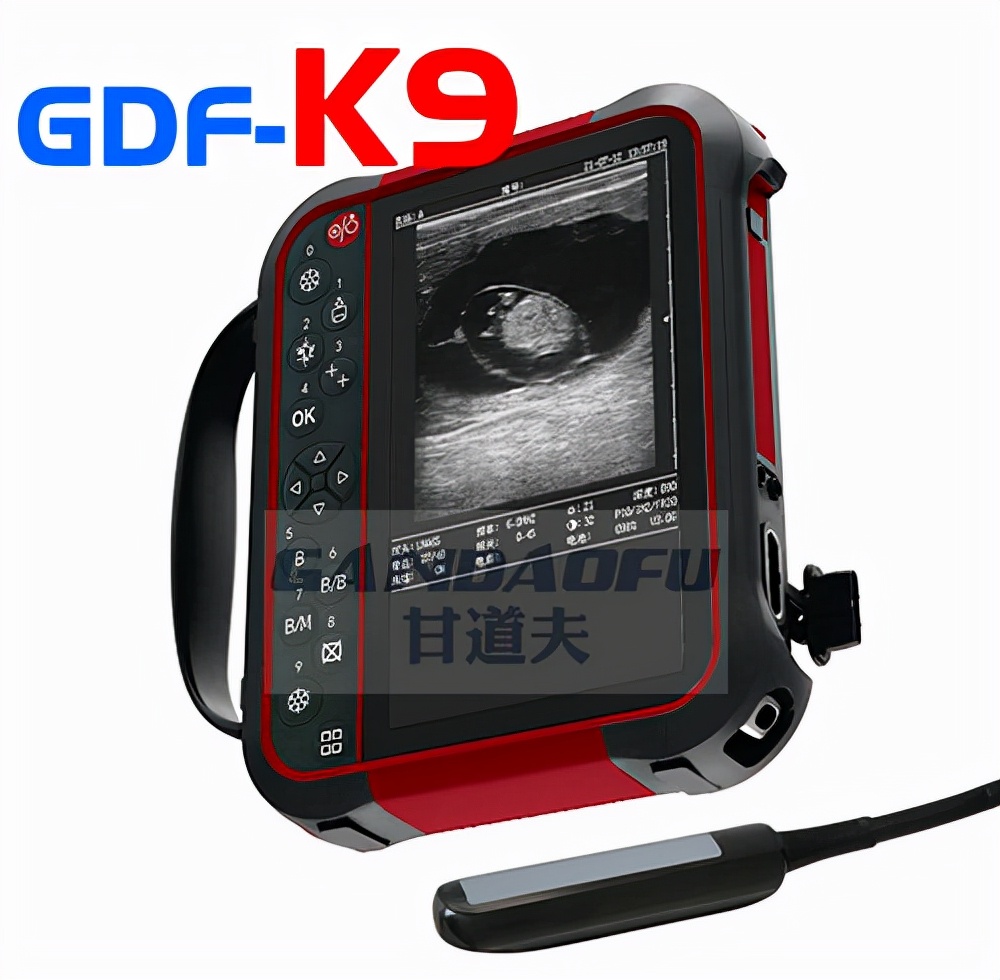 高清驴用B超马用B超测孕方法图像分析判断教程