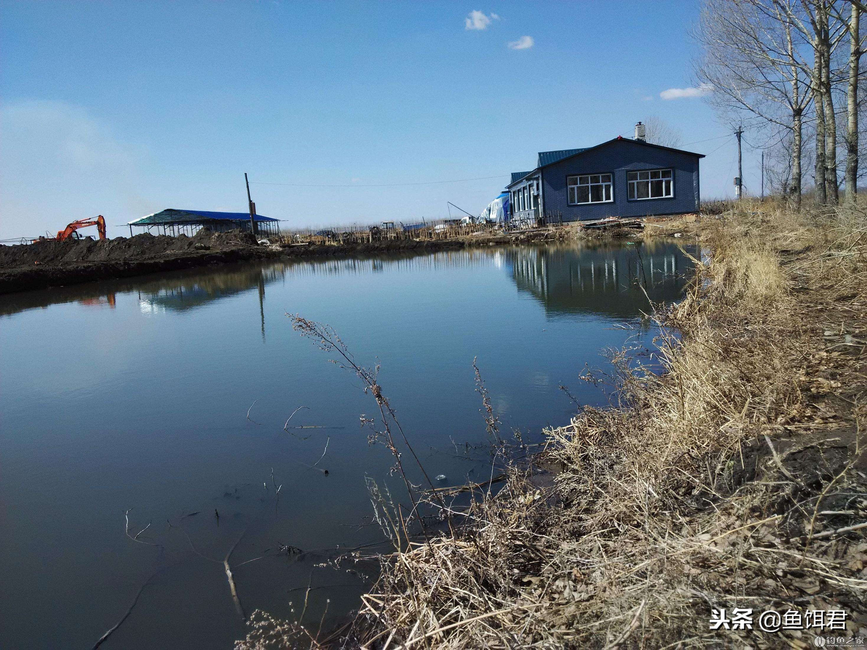 黑坑常撒石灰化肥难倒一片网友，该如何科学破解此难题