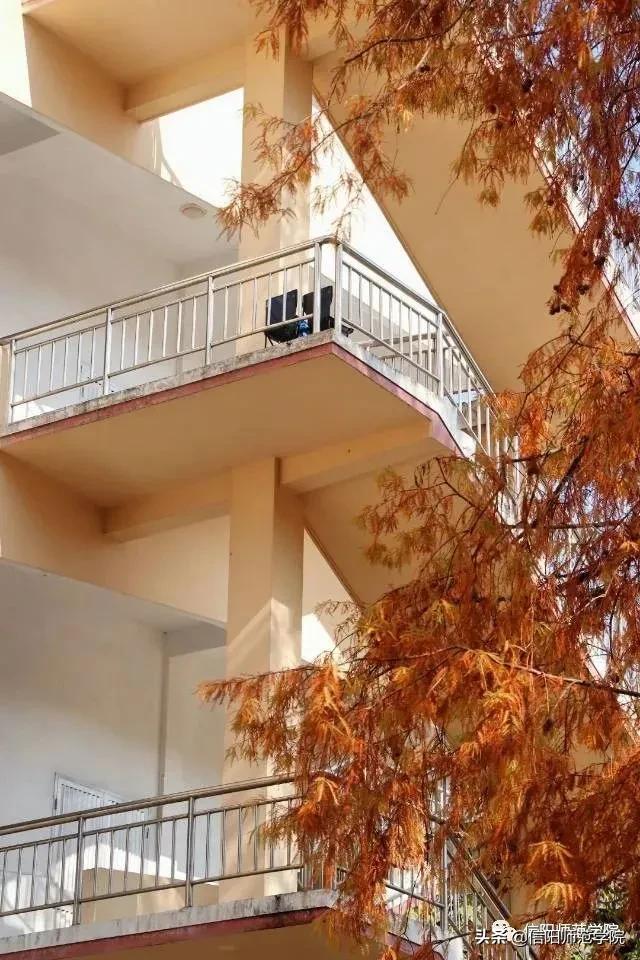 日落大道浪漫出逃歌词,在日落大道浪漫出逃下一句